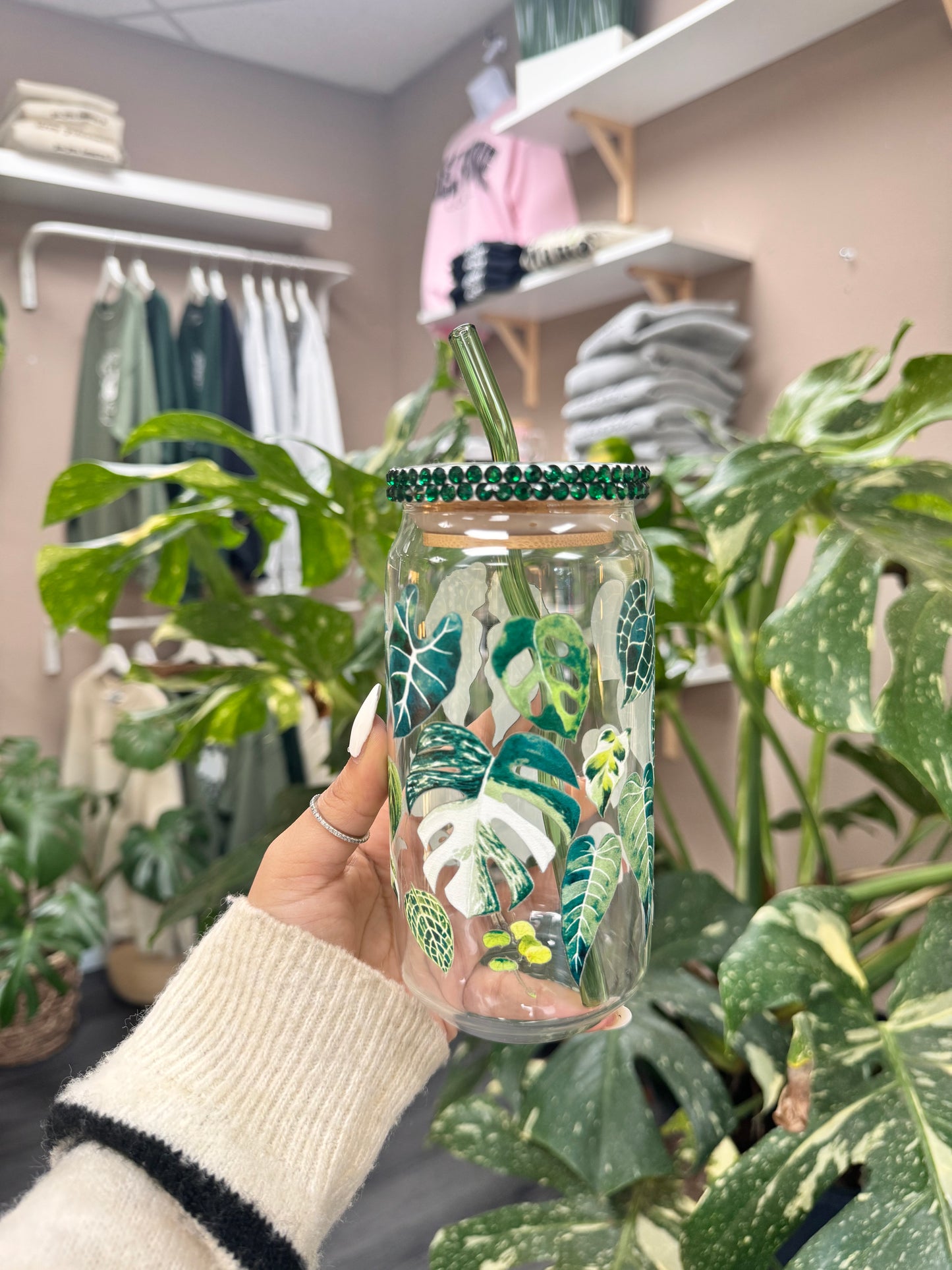 (RTS) HOUSE PLANTS CUP