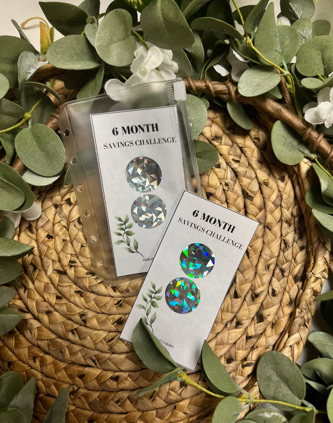 (RTS) 6 MONTH SAVINGS CHALLENGE