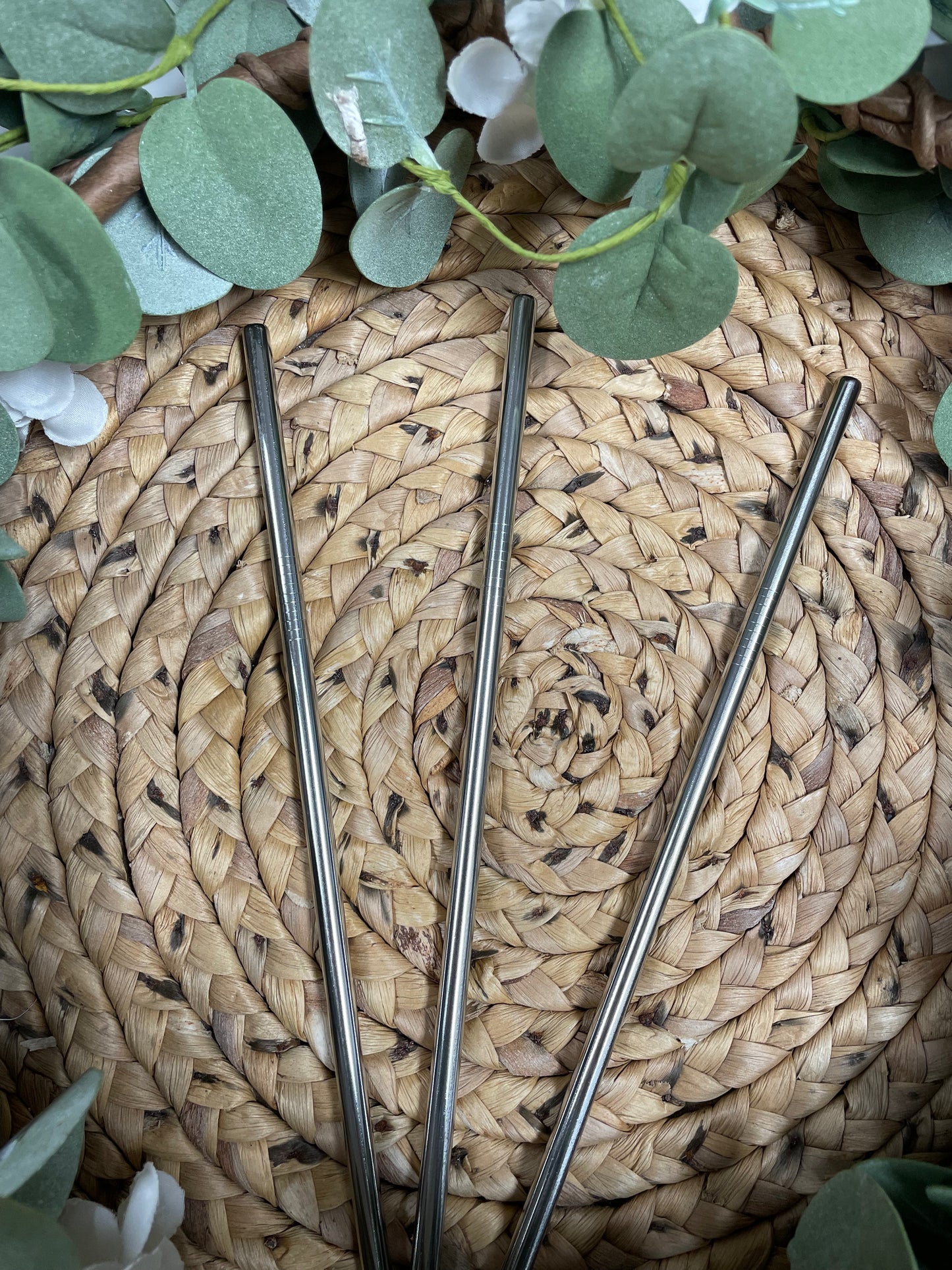 (RTS) Metal Straw Set