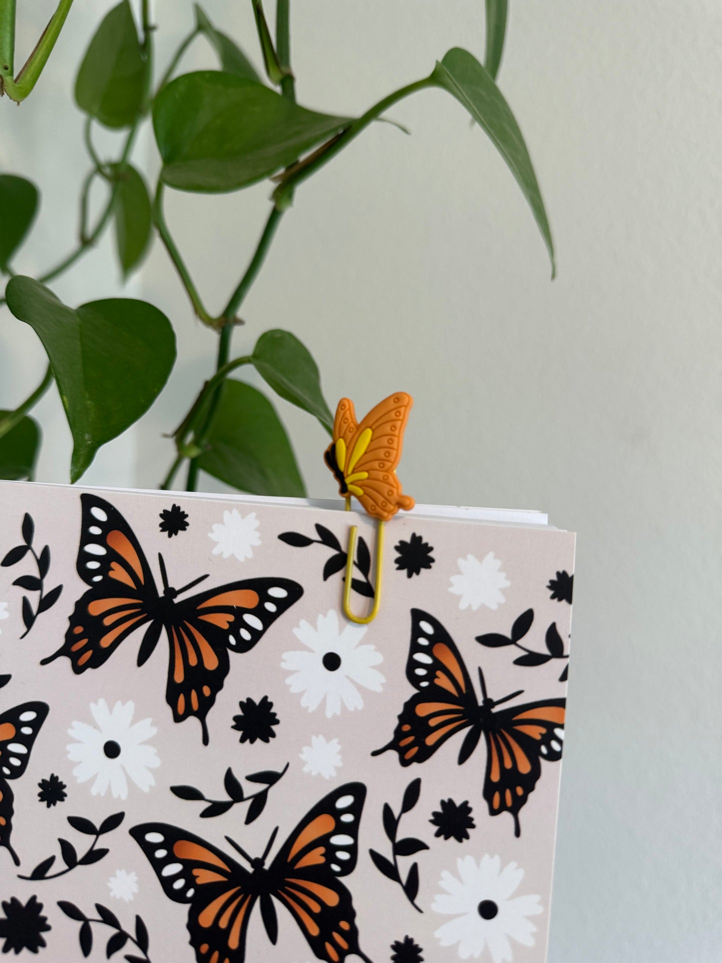 (RTS) BUTTERLY ACCESSORIES