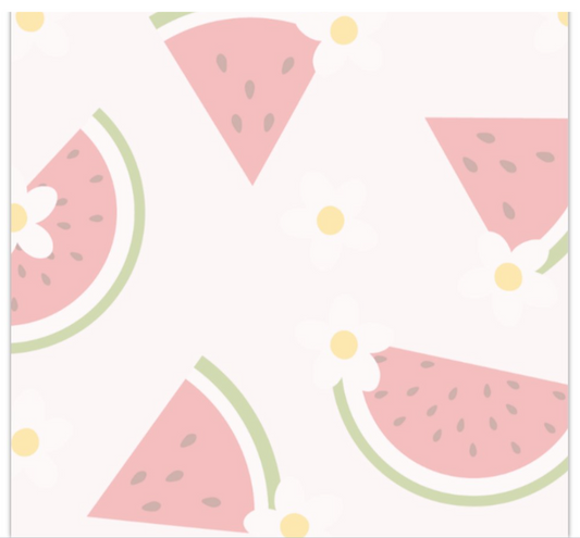 (RTS) WATERMELON STICKY NOTE