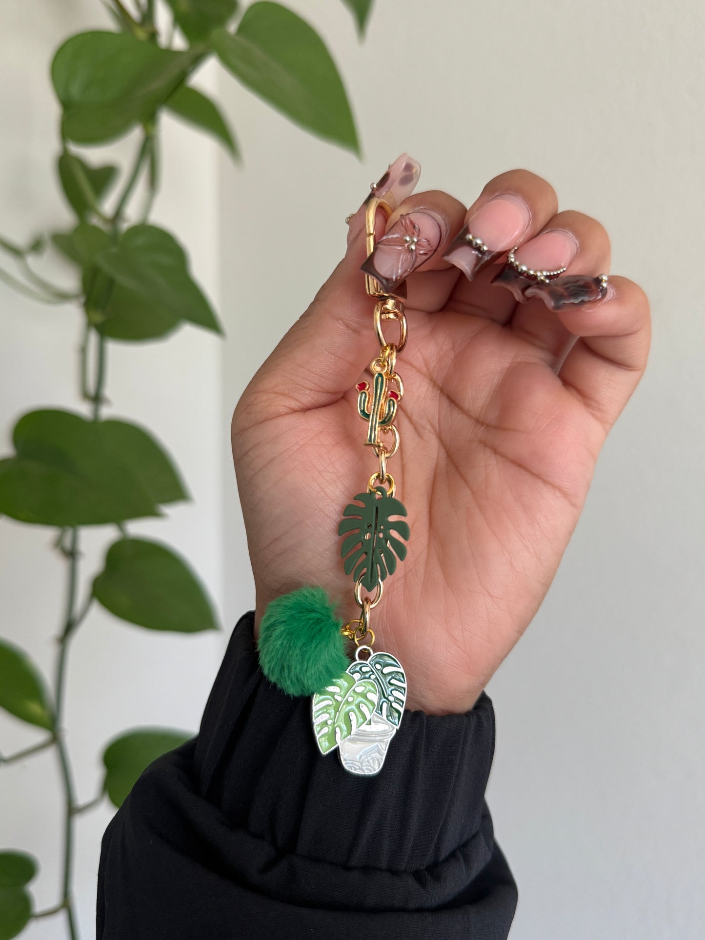 (RTS) MONSTERA CHARM